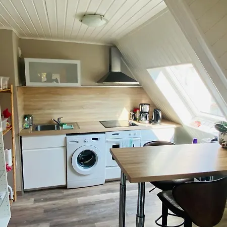 Apartamento Joli 2 Pieces, Climatise Avec Terrasse, Vue Sur Les Toits, En Zone Pietonne Haguenau Exterior foto