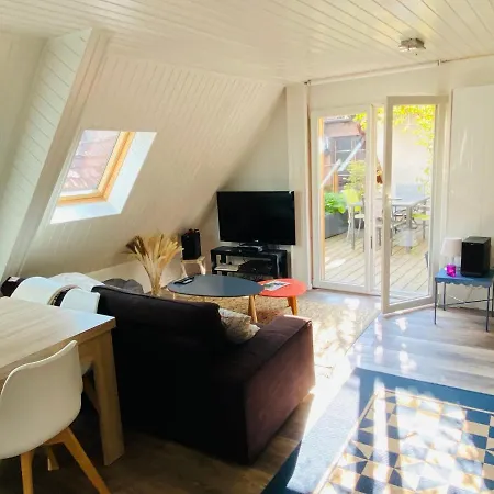 Apartamento Joli 2 Pieces, Climatise Avec Terrasse, Vue Sur Les Toits, En Zone Pietonne Haguenau Exterior foto