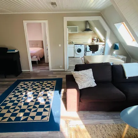 Apartamento Joli 2 Pieces, Climatise Avec Terrasse, Vue Sur Les Toits, En Zone Pietonne Haguenau Exterior foto