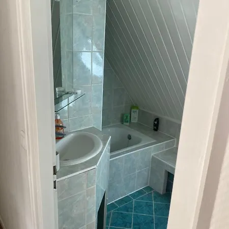 Apartamento Joli 2 Pieces, Climatise Avec Terrasse, Vue Sur Les Toits, En Zone Pietonne Haguenau Exterior foto