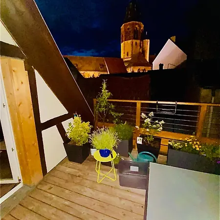 Apartamento Joli 2 Pieces, Climatise Avec Terrasse, Vue Sur Les Toits, En Zone Pietonne Haguenau Exterior foto