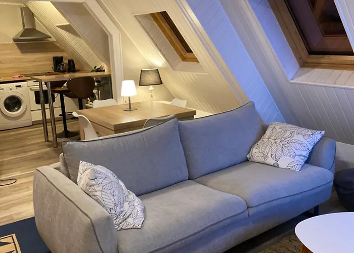 Joli 2 Pieces, Climatise Avec Terrasse, Vue Sur Les Toits, En Zone Pietonne