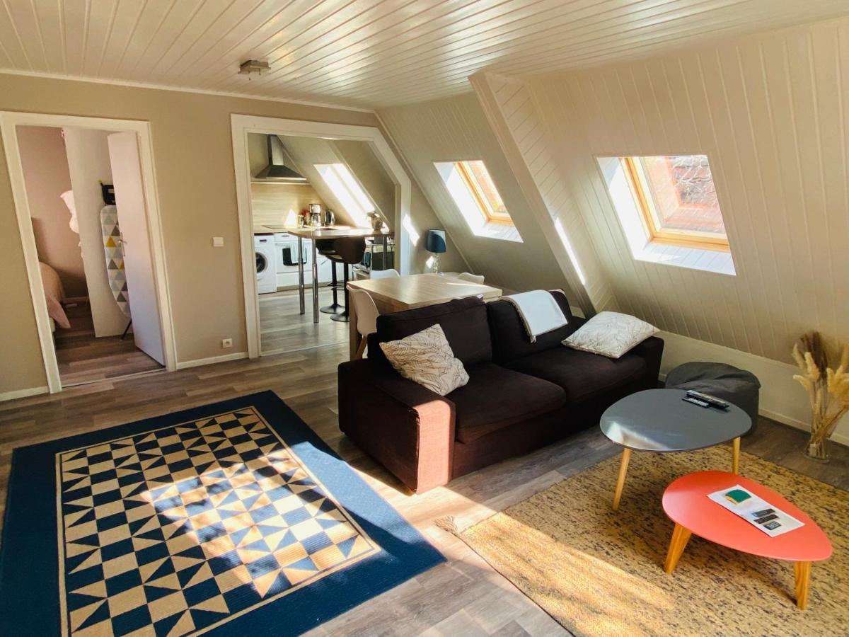 Joli 2 Pieces, Climatise Avec Terrasse, Vue Sur Les Toits, En Zone Pietonne Apartment Haguenau