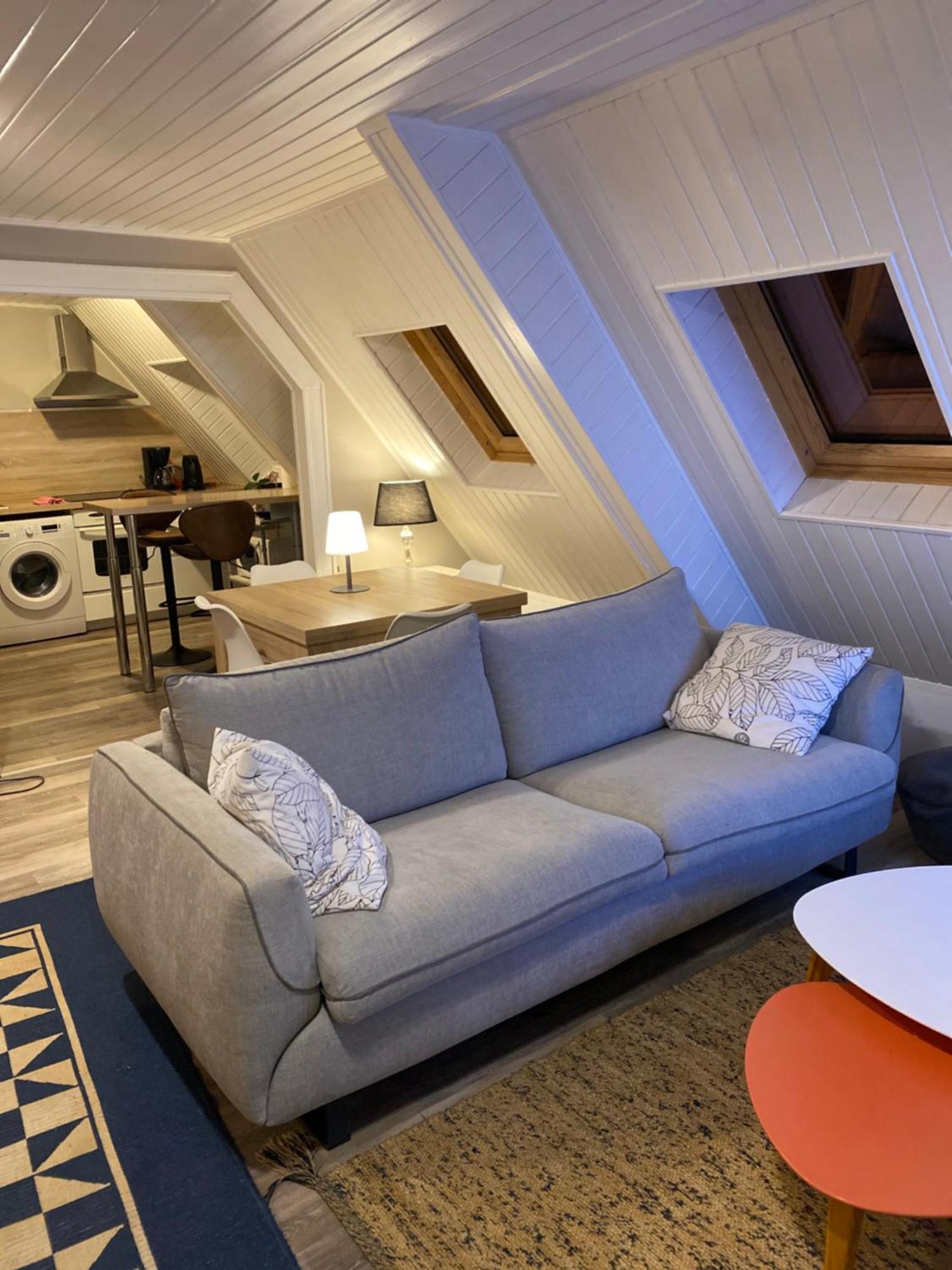 Joli 2 Pieces, Climatise Avec Terrasse, Vue Sur Les Toits, En Zone Pietonne Haguenau