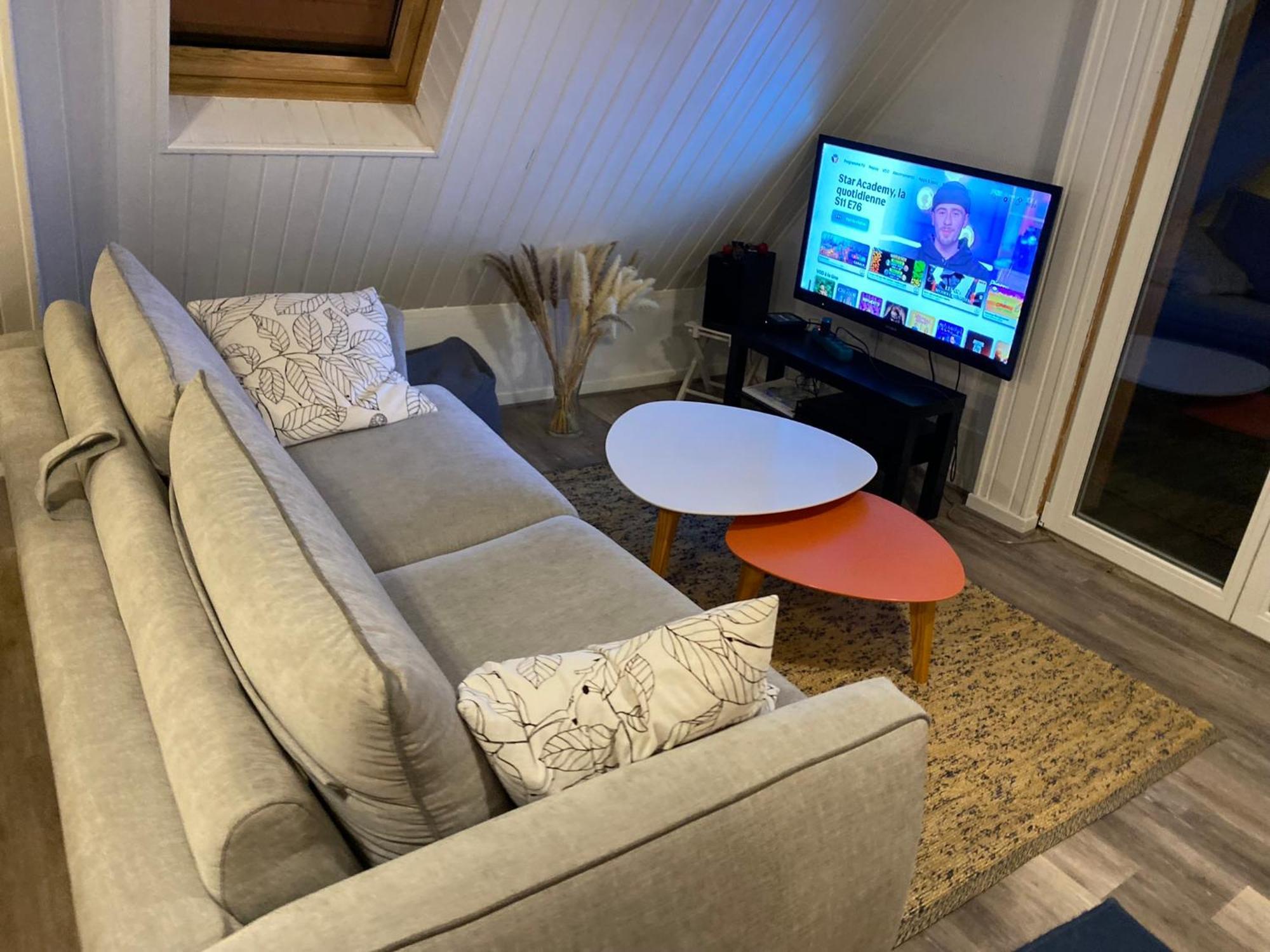 Joli 2 Pieces, Climatise Avec Terrasse, Vue Sur Les Toits, En Zone Pietonne Haguenau
